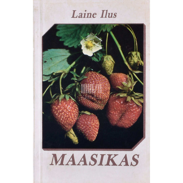 Laine Ilus - Maasikas. Käsiraamat aiandushuvilistele
