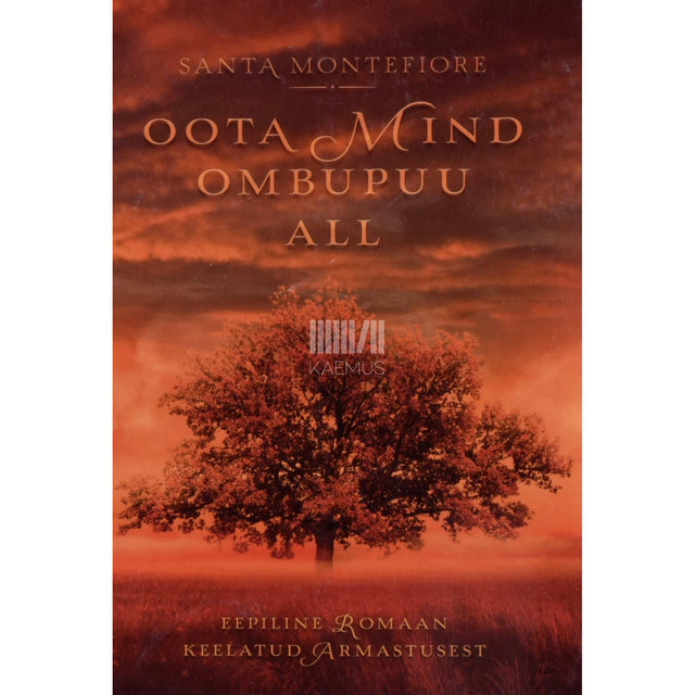 Santa Montefiore - Oota mind ombupuu all