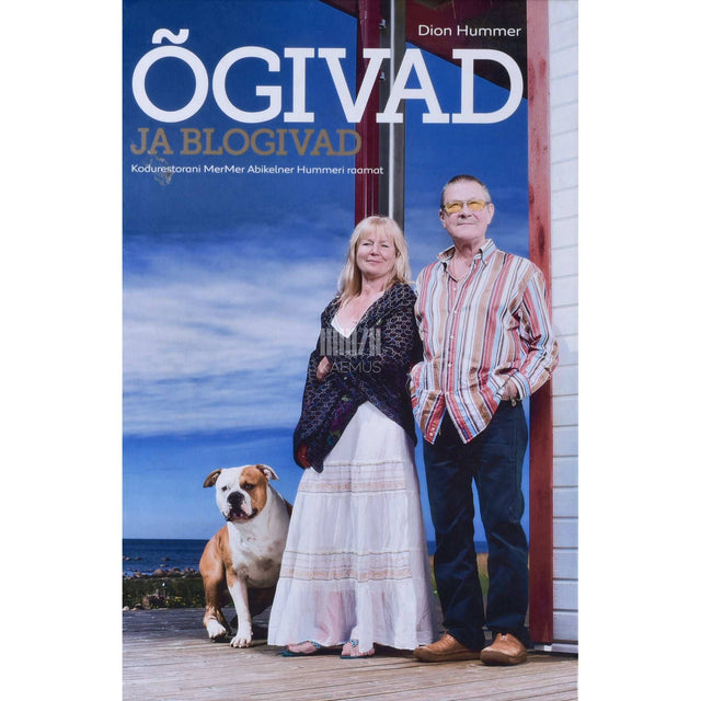 Dion Hummer - Õgivad ja blogivad