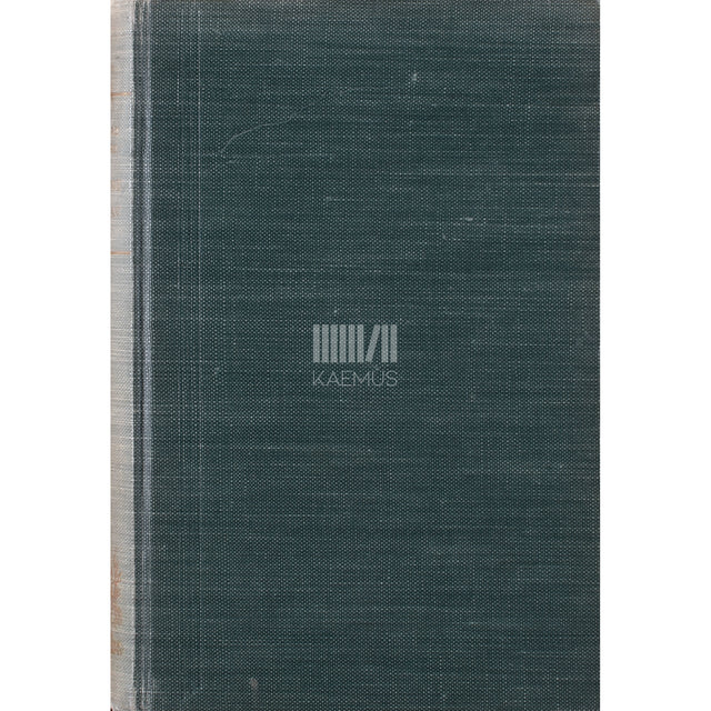 Bernard Kangro. Sinine värav