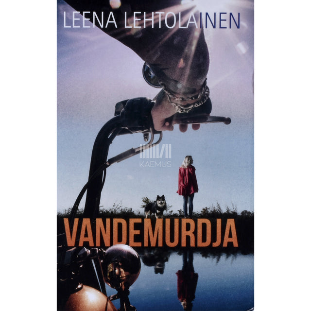 Leena Lehtolainen. Vandemurdja