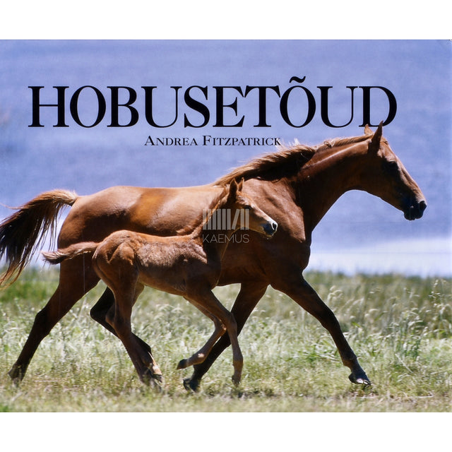 Andrea Fitzpatrick. Hobusetõud