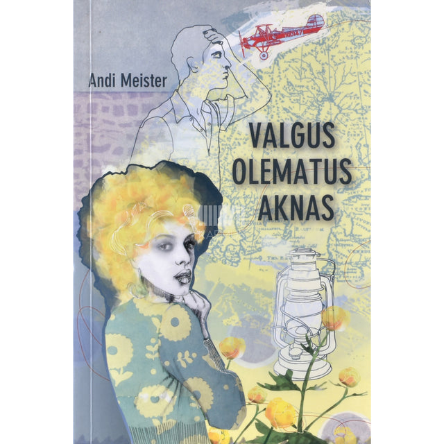 Andi Meister. Valgus olematus aknas
