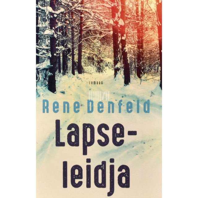 Rene Denfeld. Lapseleidja
