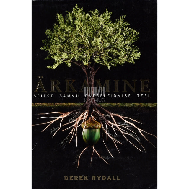 Derek Rydall. Ärkamine