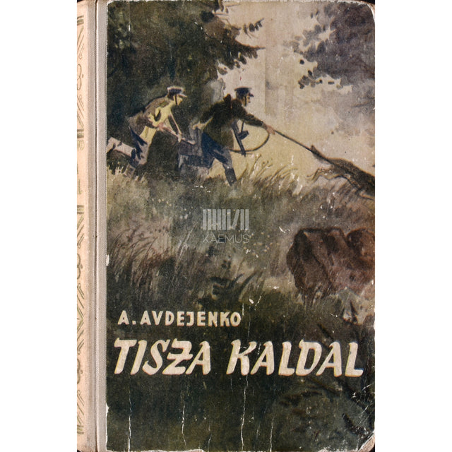 Aleksandr Avdejenko. Tisza kaldal