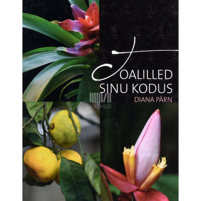 Diana Pärn. Toalilled sinu kodus