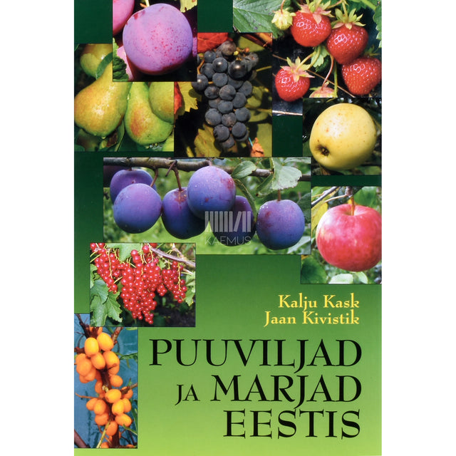 Kalju Kask, Jaan Kivistik. Puuviljad ja marjad Eestis