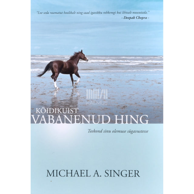 Michael A Singer. Köidikuist vabanenud hing