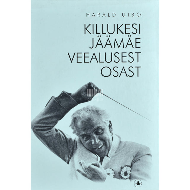 Harald Uibo. Killukesi jäämäe veealusest osast