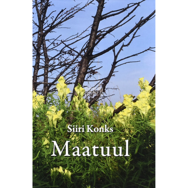 Siiri Konks. Maatuul