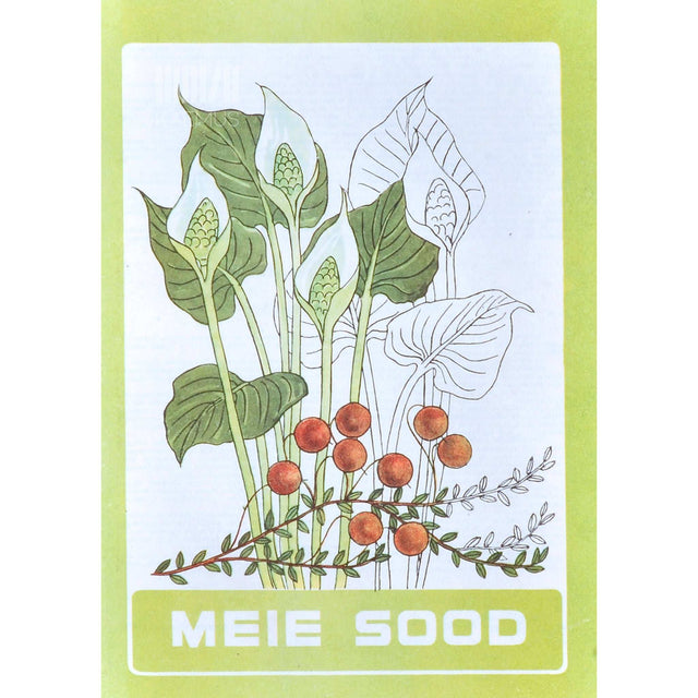 … - Mälumäng koduseks nuputamiseks. KESMISKUS taskuraamat