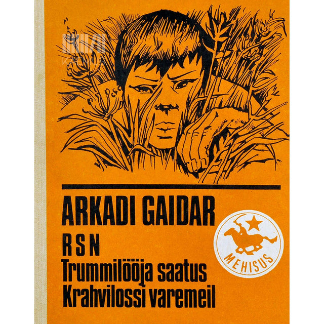 Arkadi Gaidar - RSN. Trummilööja saatus. Krahvilossi varemeil