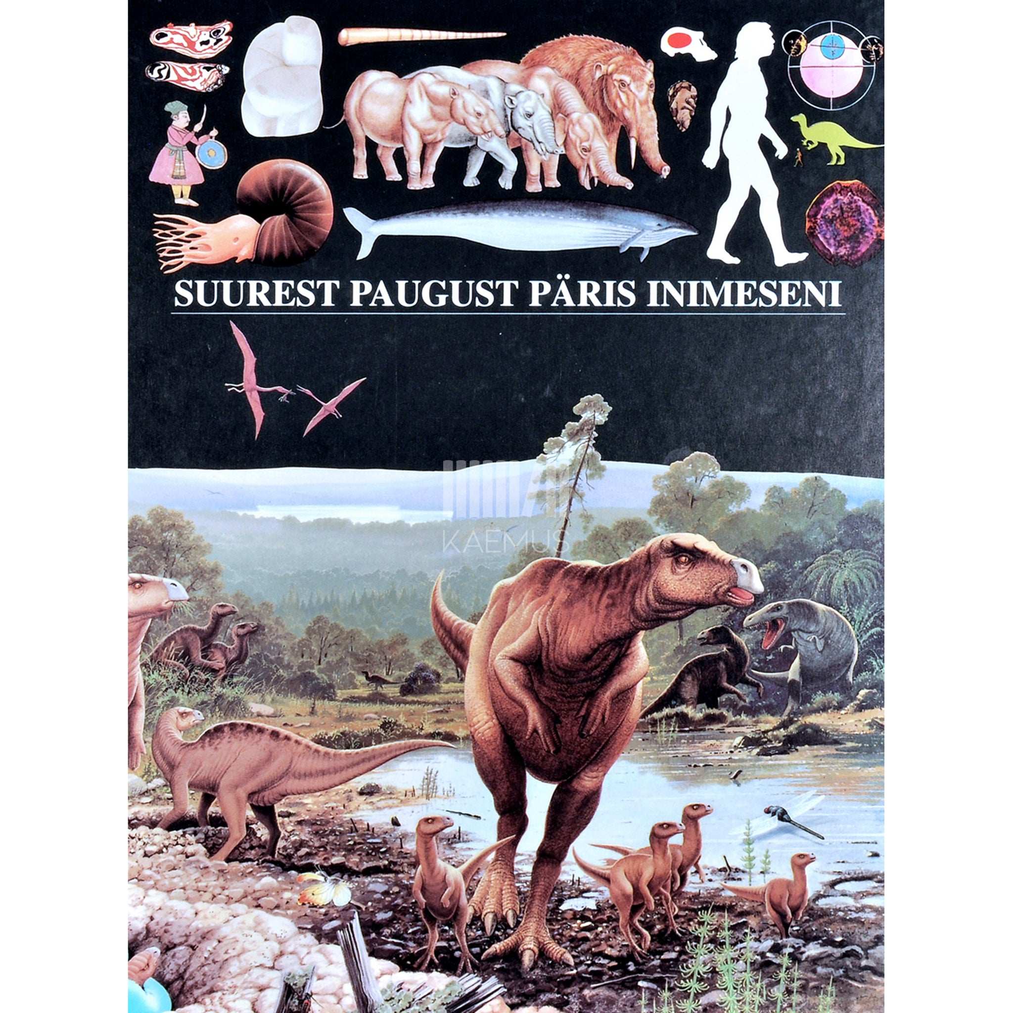 … Suurest paugust päris inimeseni