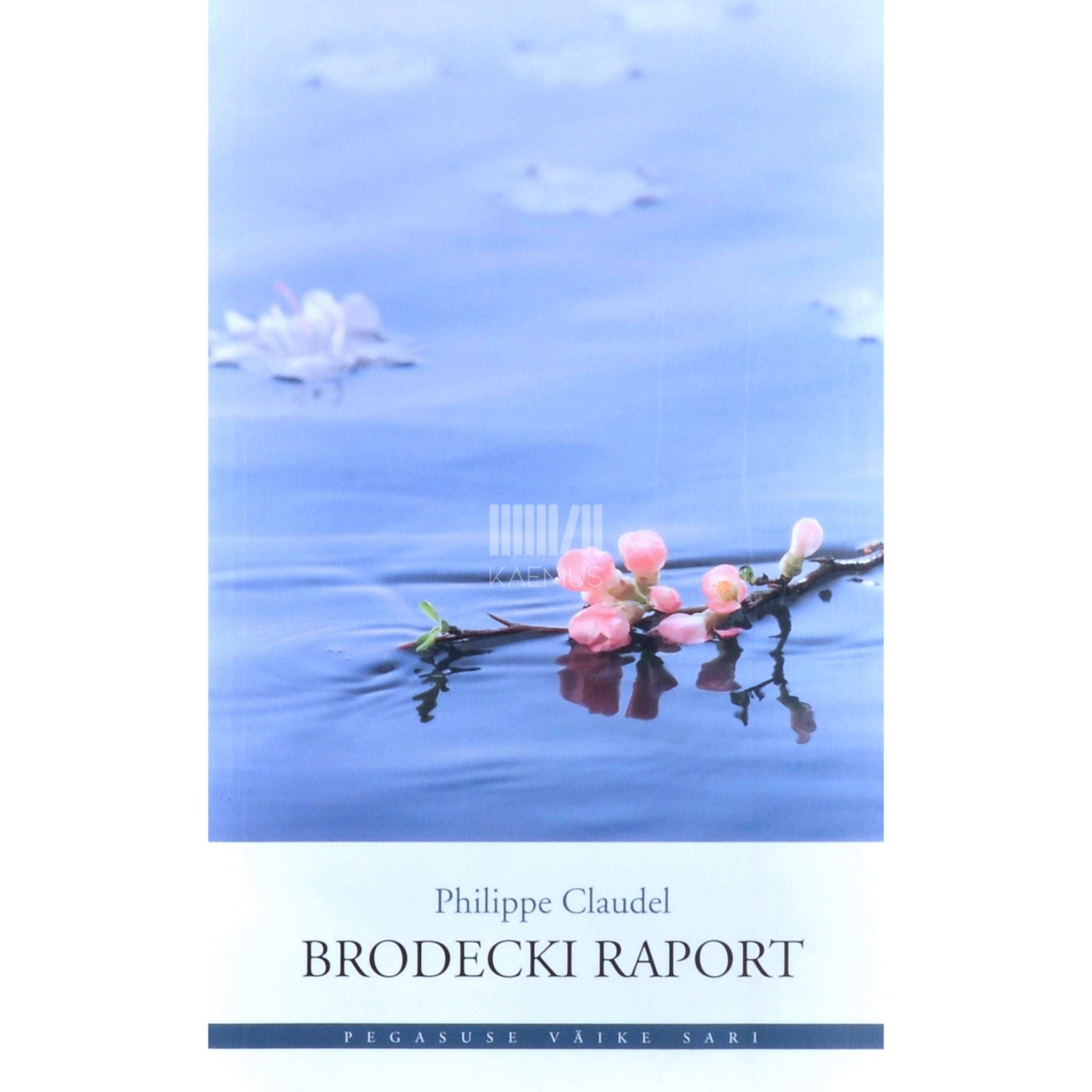 Philippe Claudel Brodecki raport