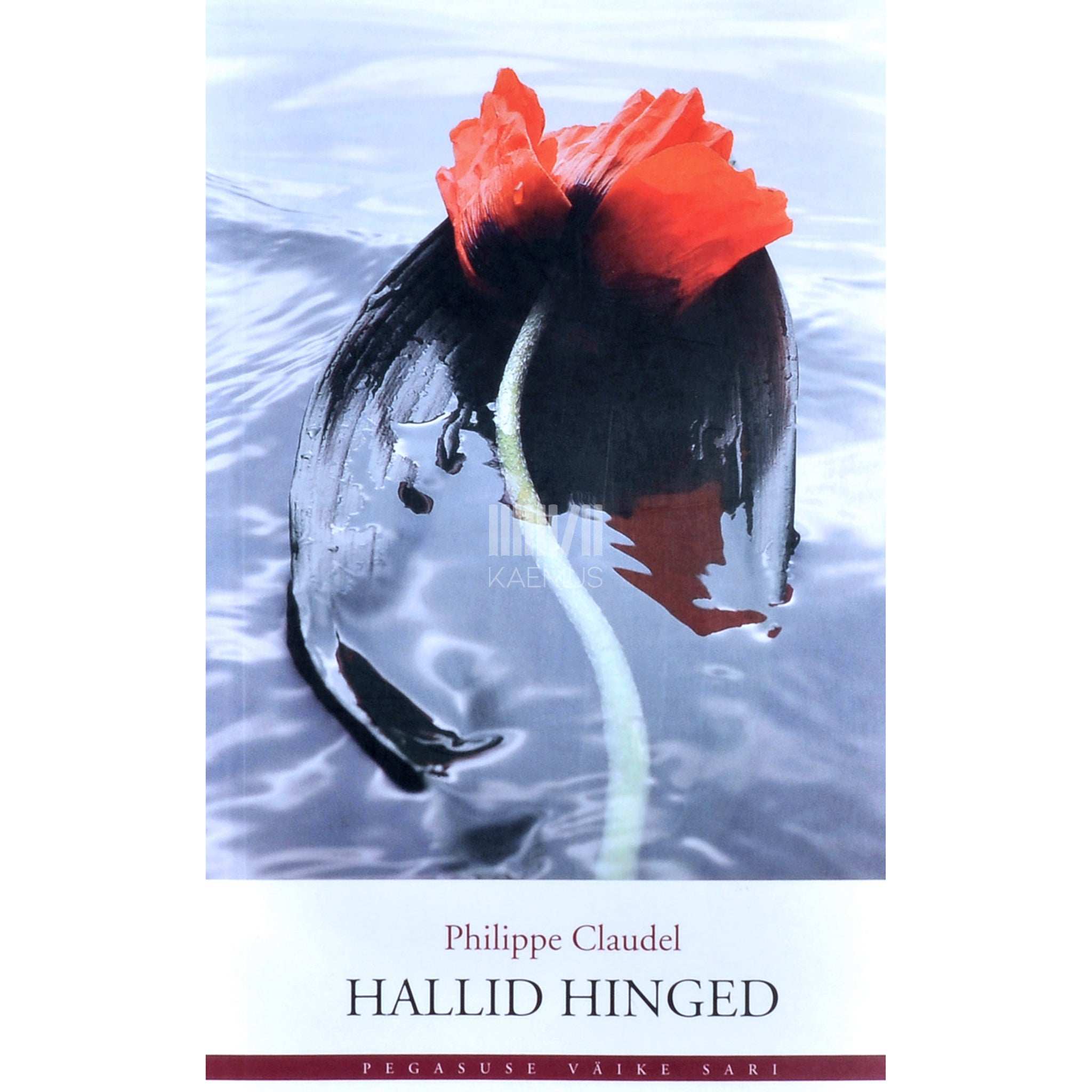 Philippe Claudel Hallid hinged