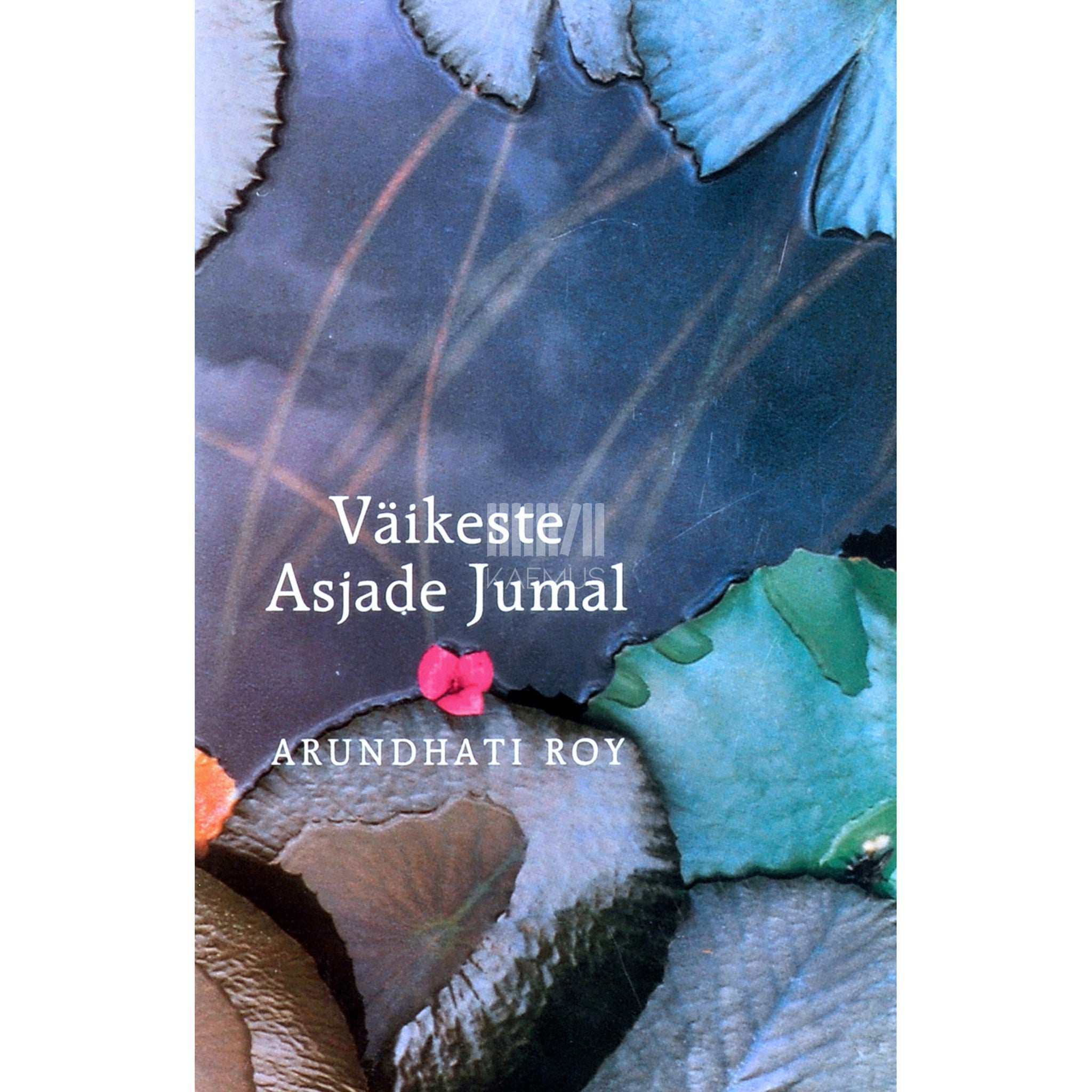 Arundhati Roy Väikeste asjade jumal