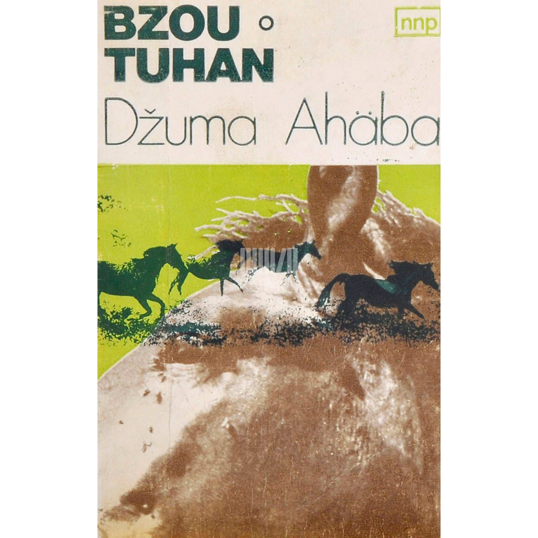 Džuma Ahäba Bzou. Tuhan