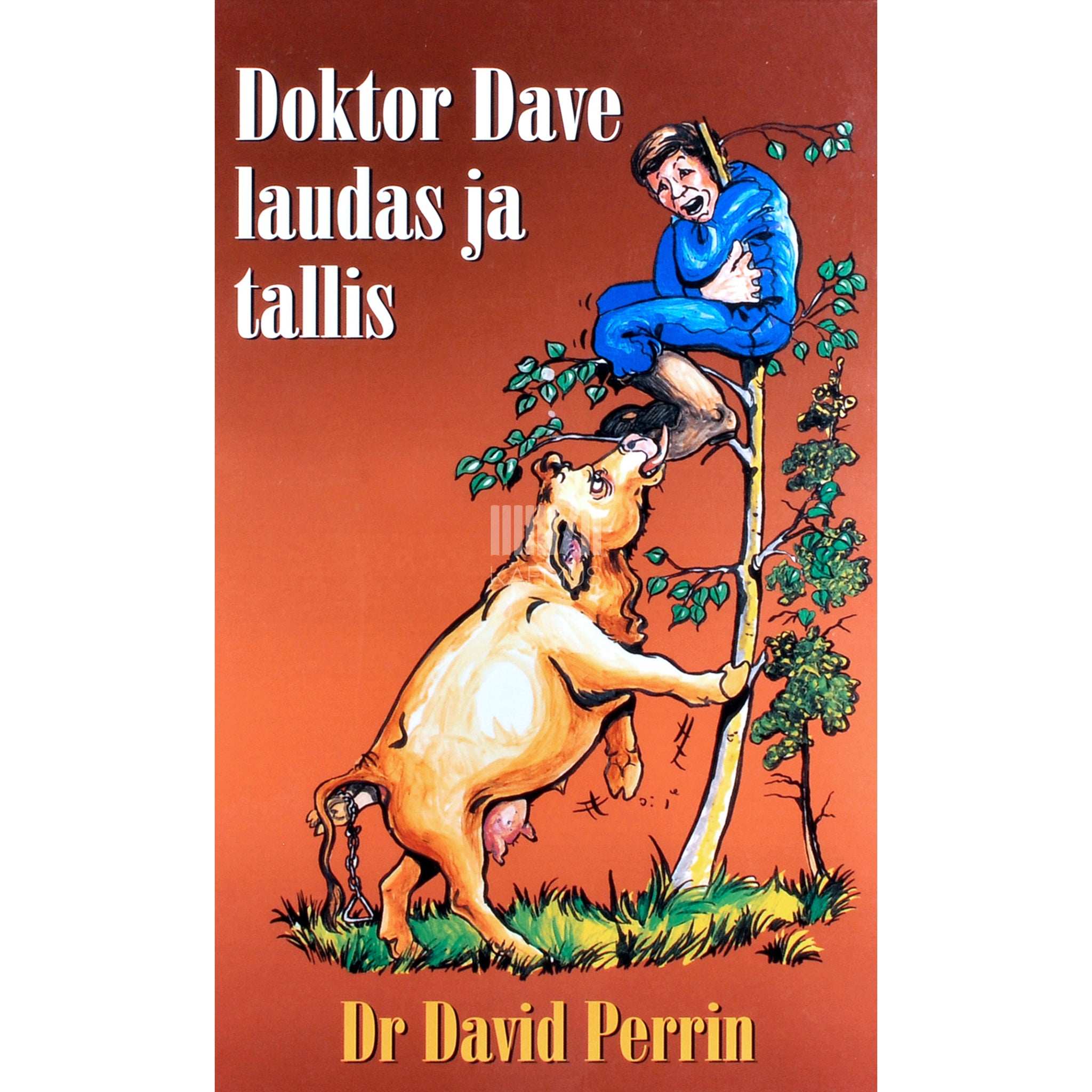 David Perrin Doktor Dave laudas ja tallis. Maaloomaarsti uued juhtumused