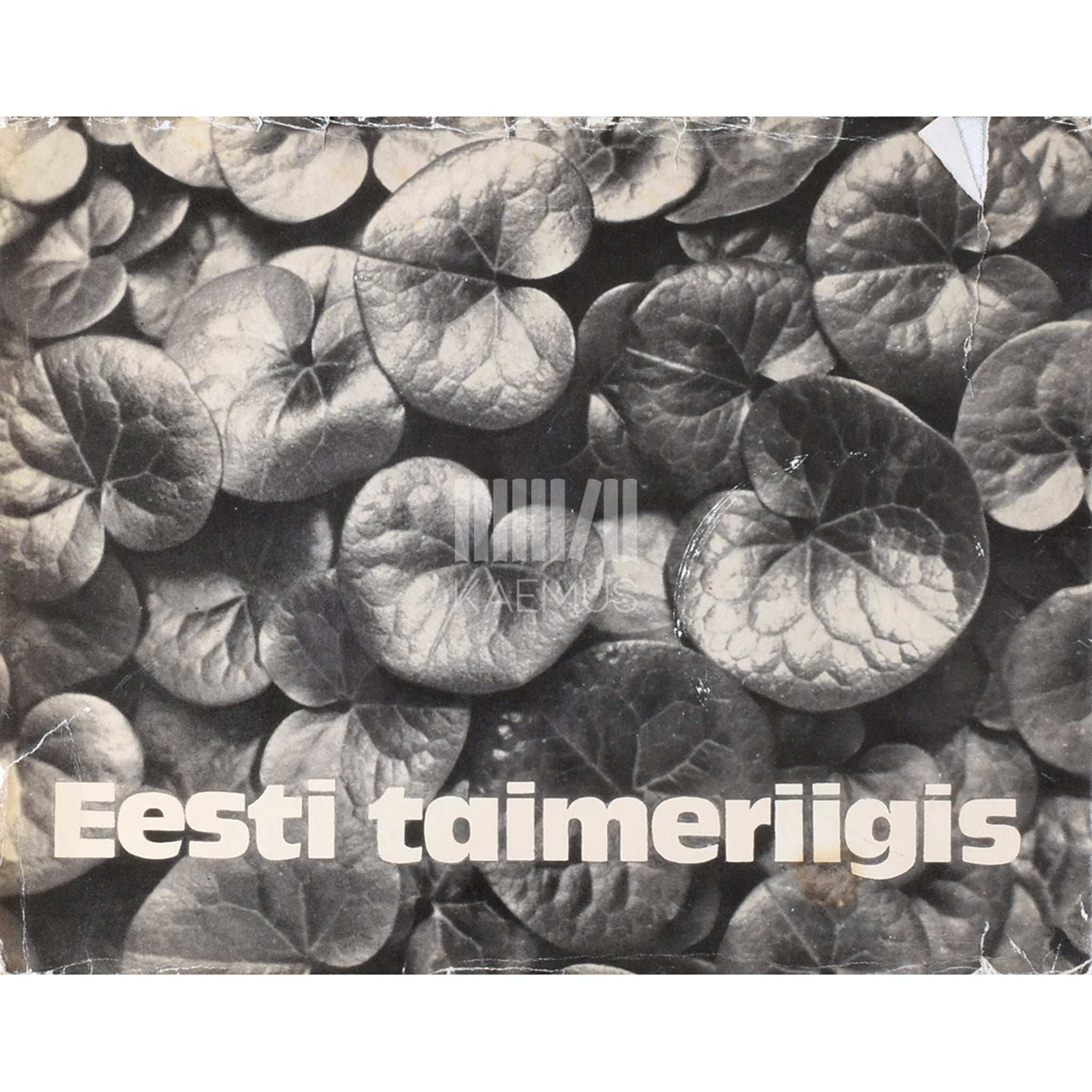 Haide-Ene Rebassoo Eesti taimeriigis. Fotoalbum