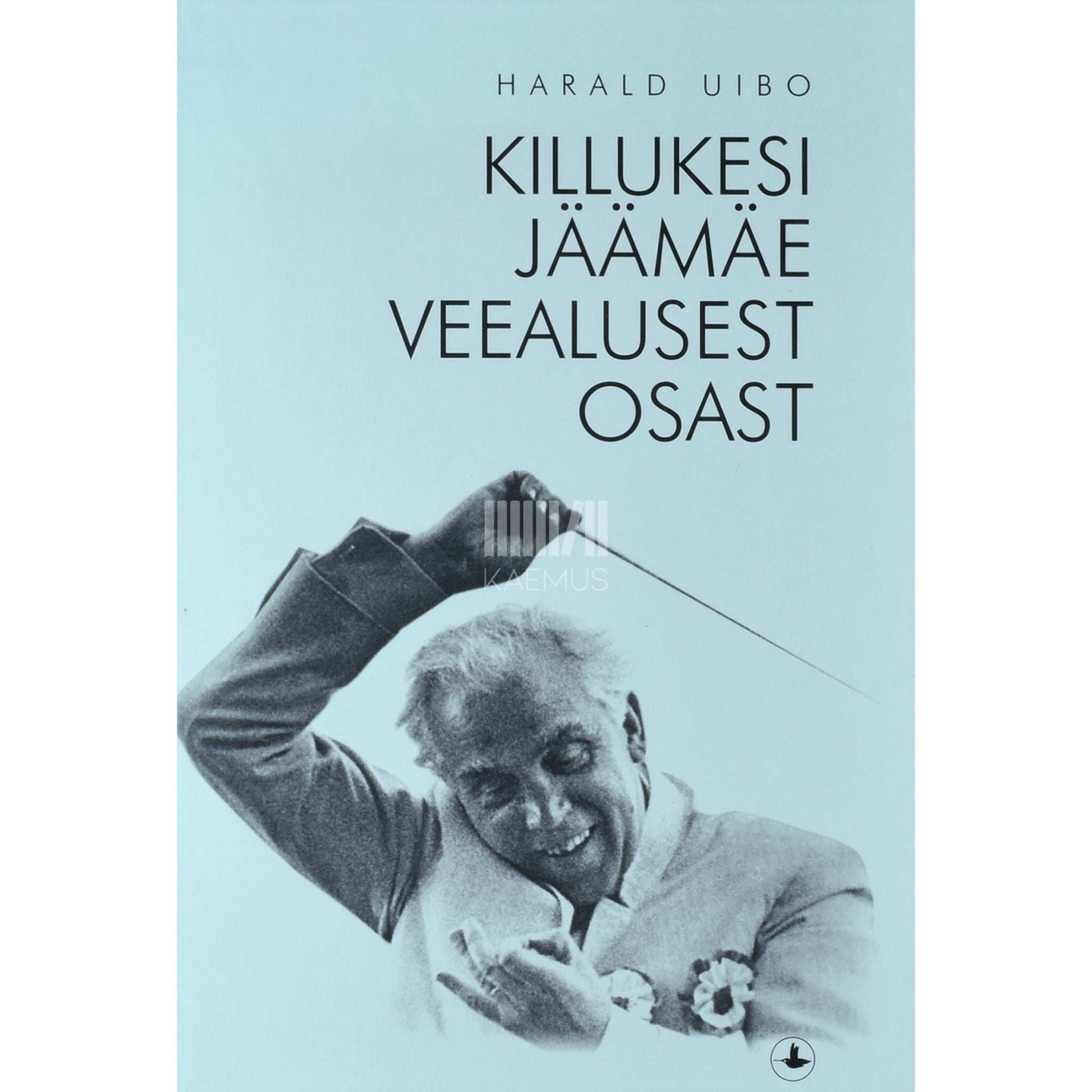 Harald Uibo - Killukesi jäämäe veealusest osast