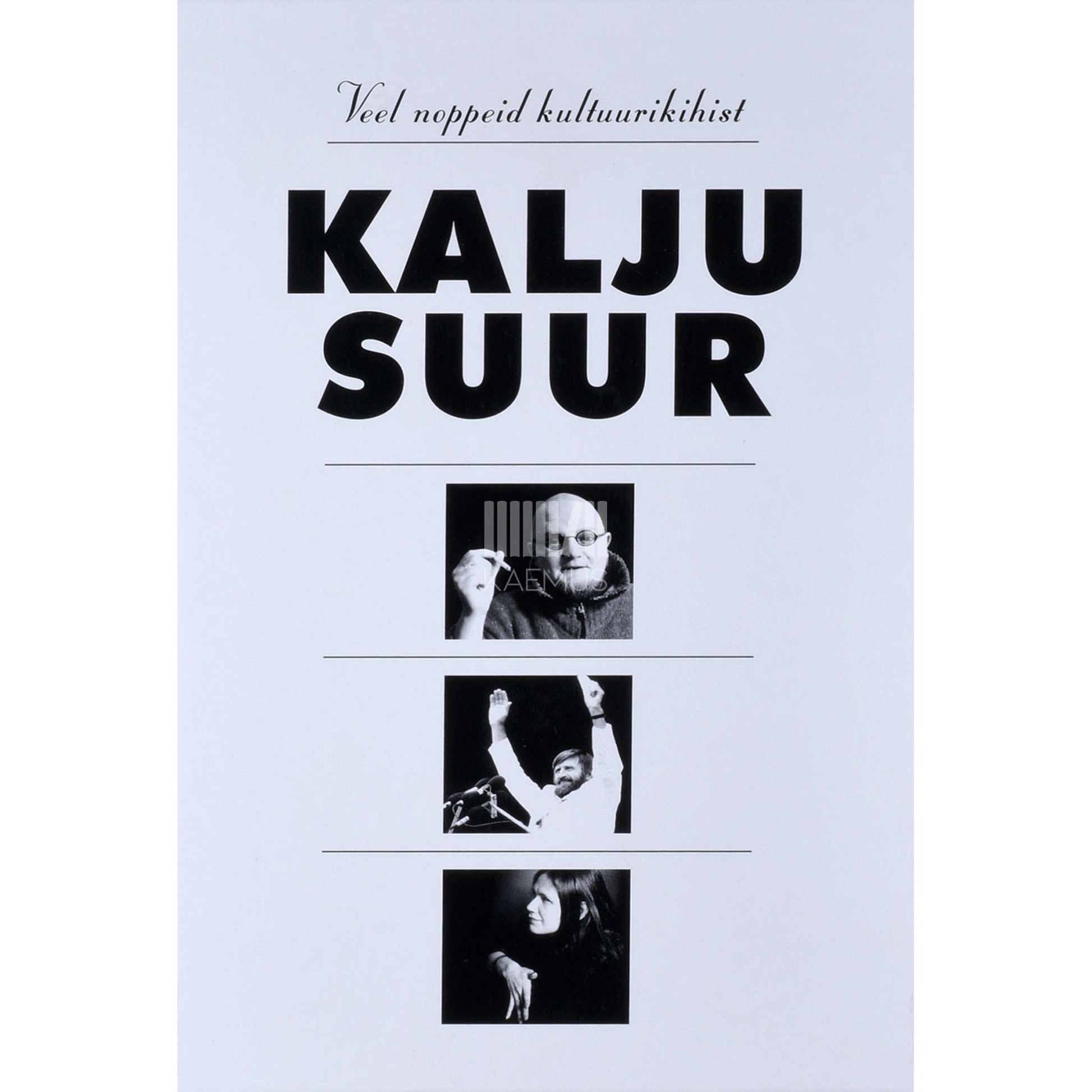 Kalju Suur - Veel noppeid kultuurikihist. Fotoalbum 2. osa