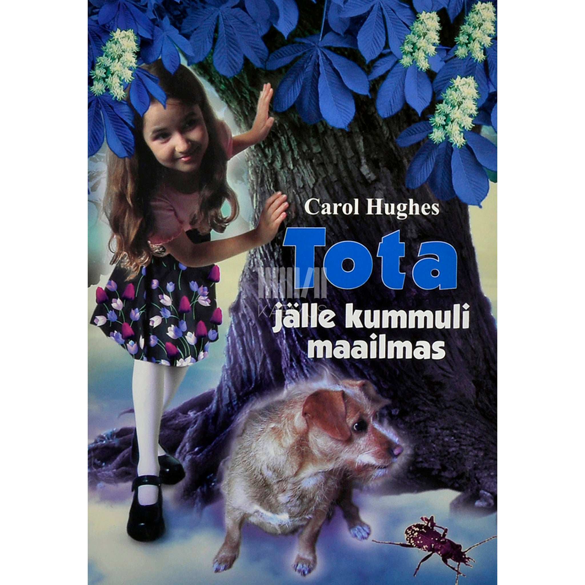 Carol Hughes Tota jälle kummuli maailmas