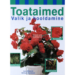 Jane Bland, William Davidson Toataimed. Valik ja hooldamine