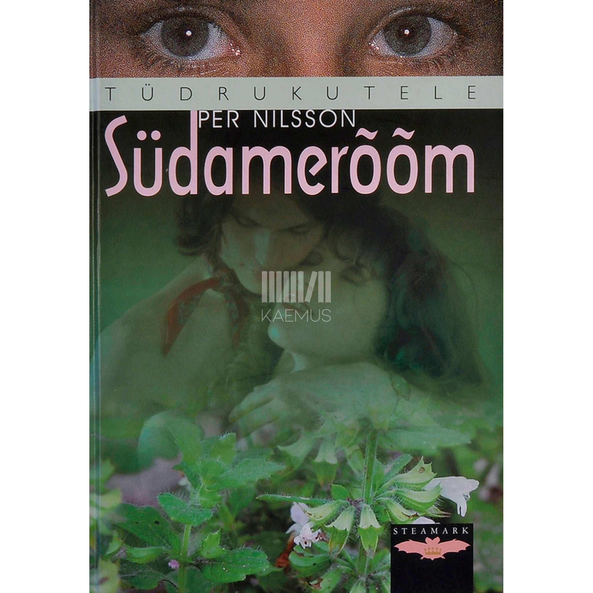 Per Nilsson Südamerõõm