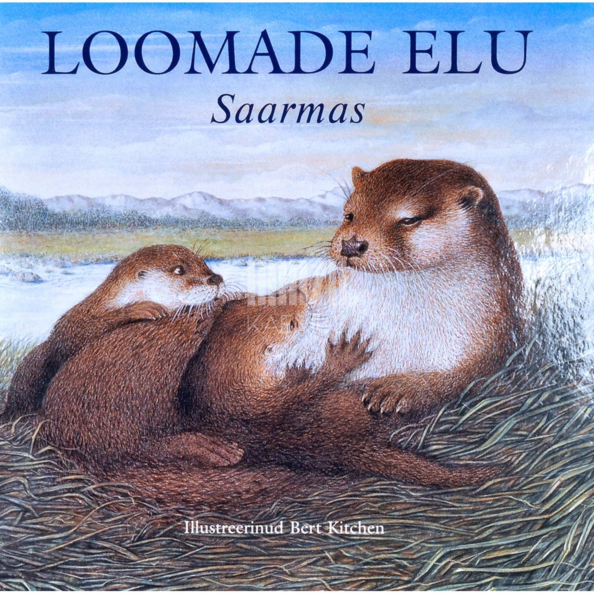 Sandy Ransford, Bert Kitchen - Saarmas