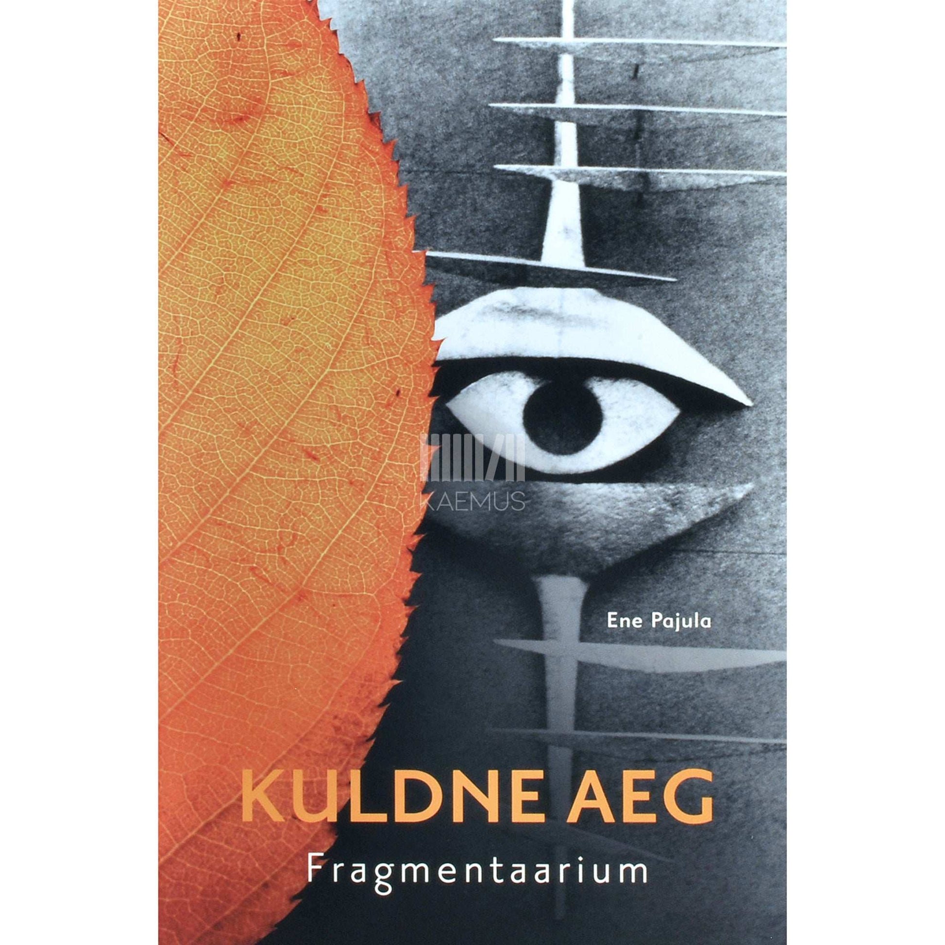 Ene Pajula - Kuldne aeg 3. osa. Fragmentaarium kuis kõik kunagi oli