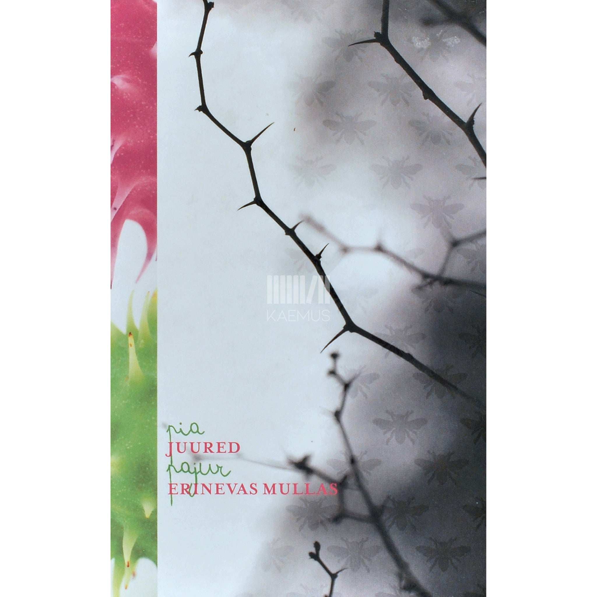 Pia Pajur Juured erinevas mullas