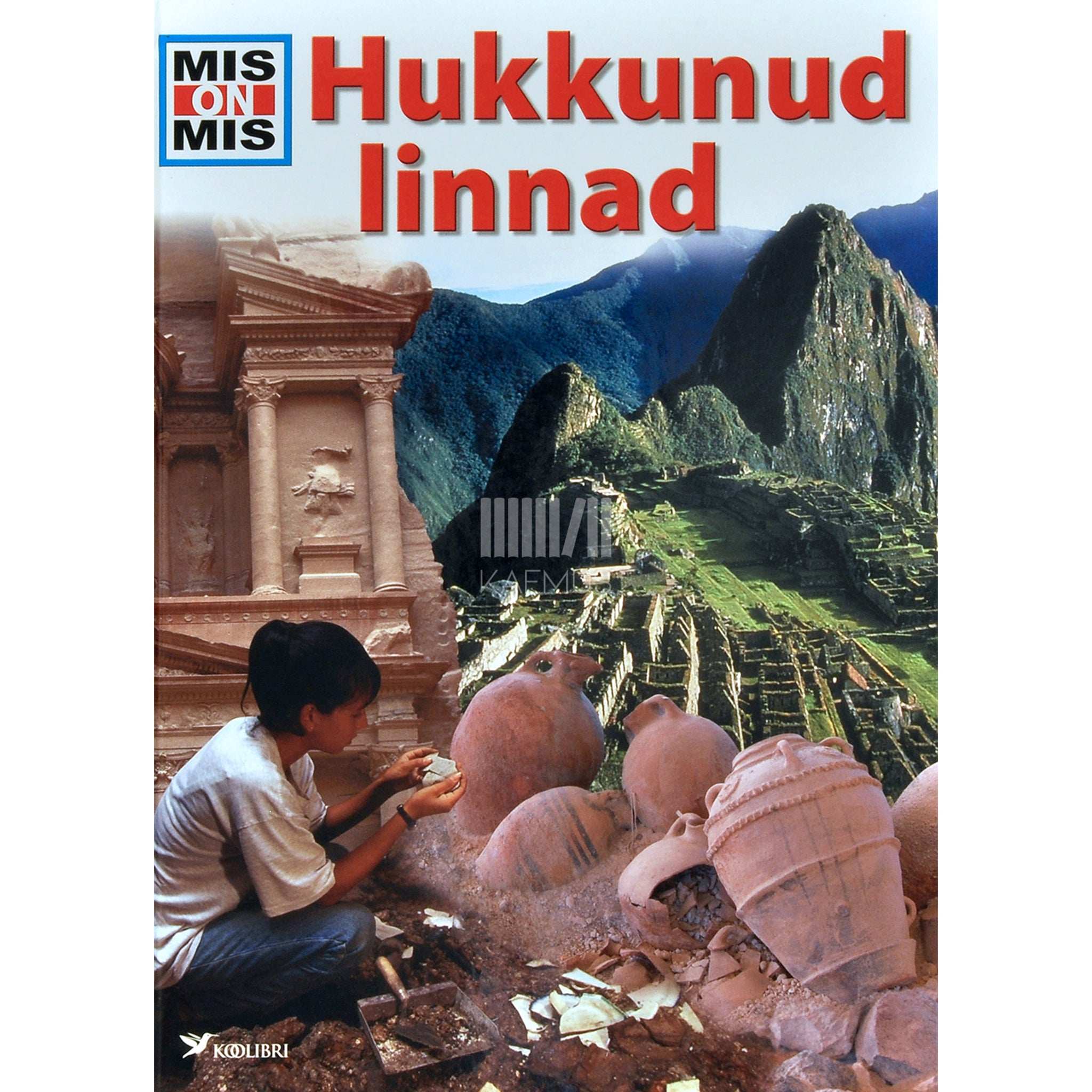 Rainer Crummenerl Hukkunud linnad