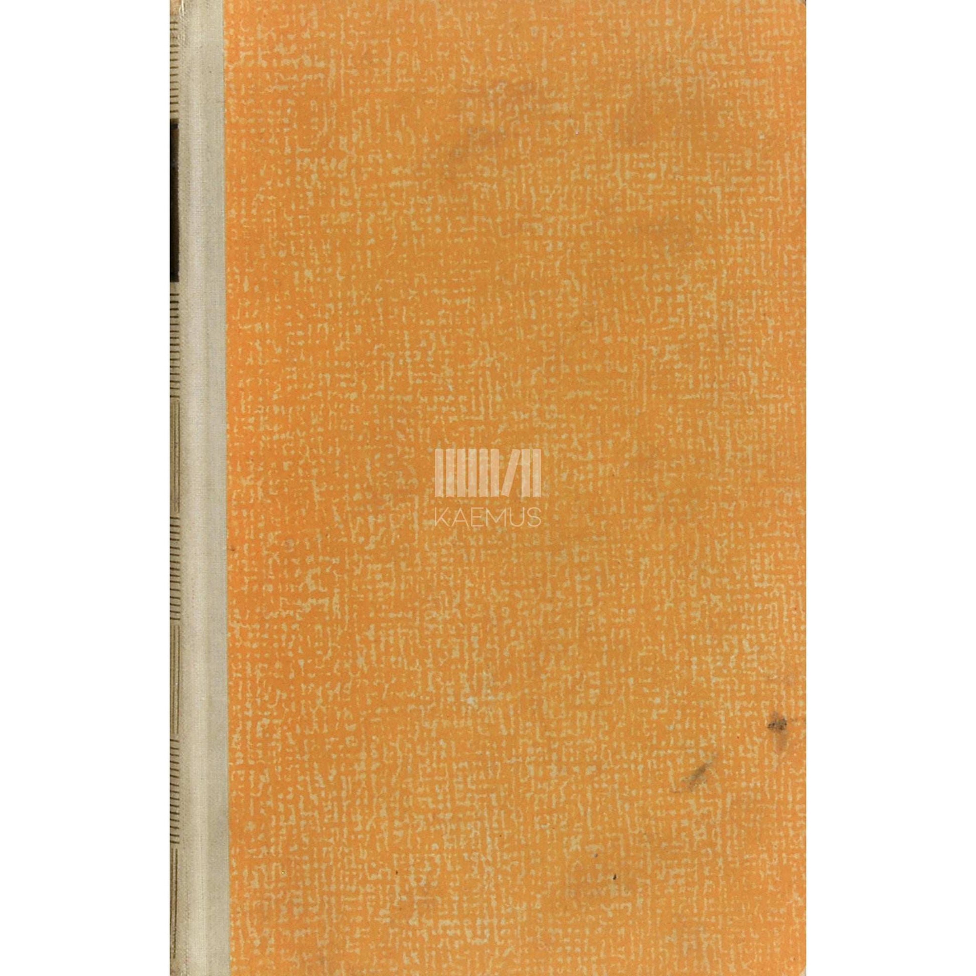 Martin Andersen Nexø - Inimlaps Ditte