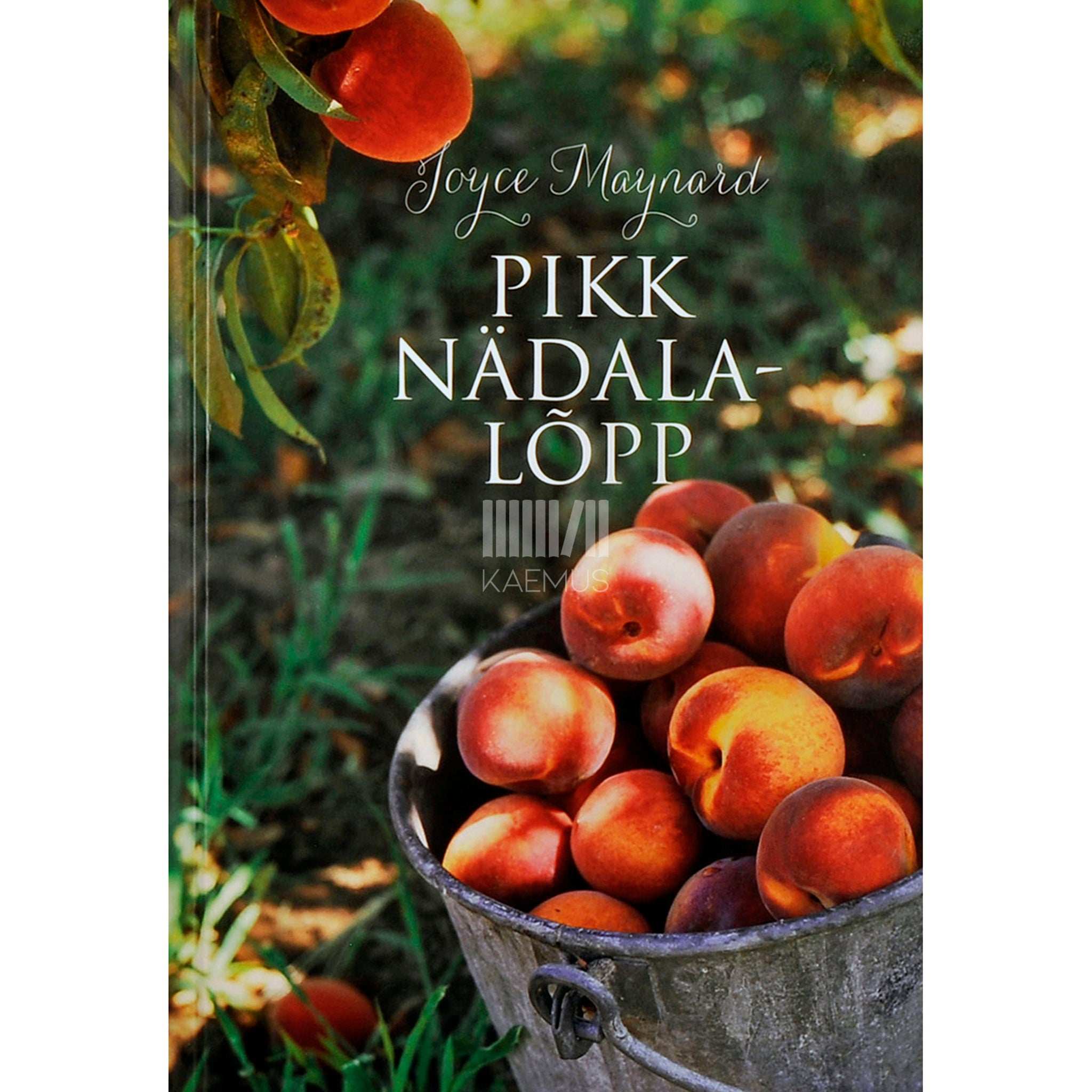 Joyce Maynard Pikk nädalalõpp