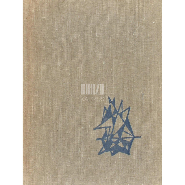 Jaan Kross - Kivist viiulid