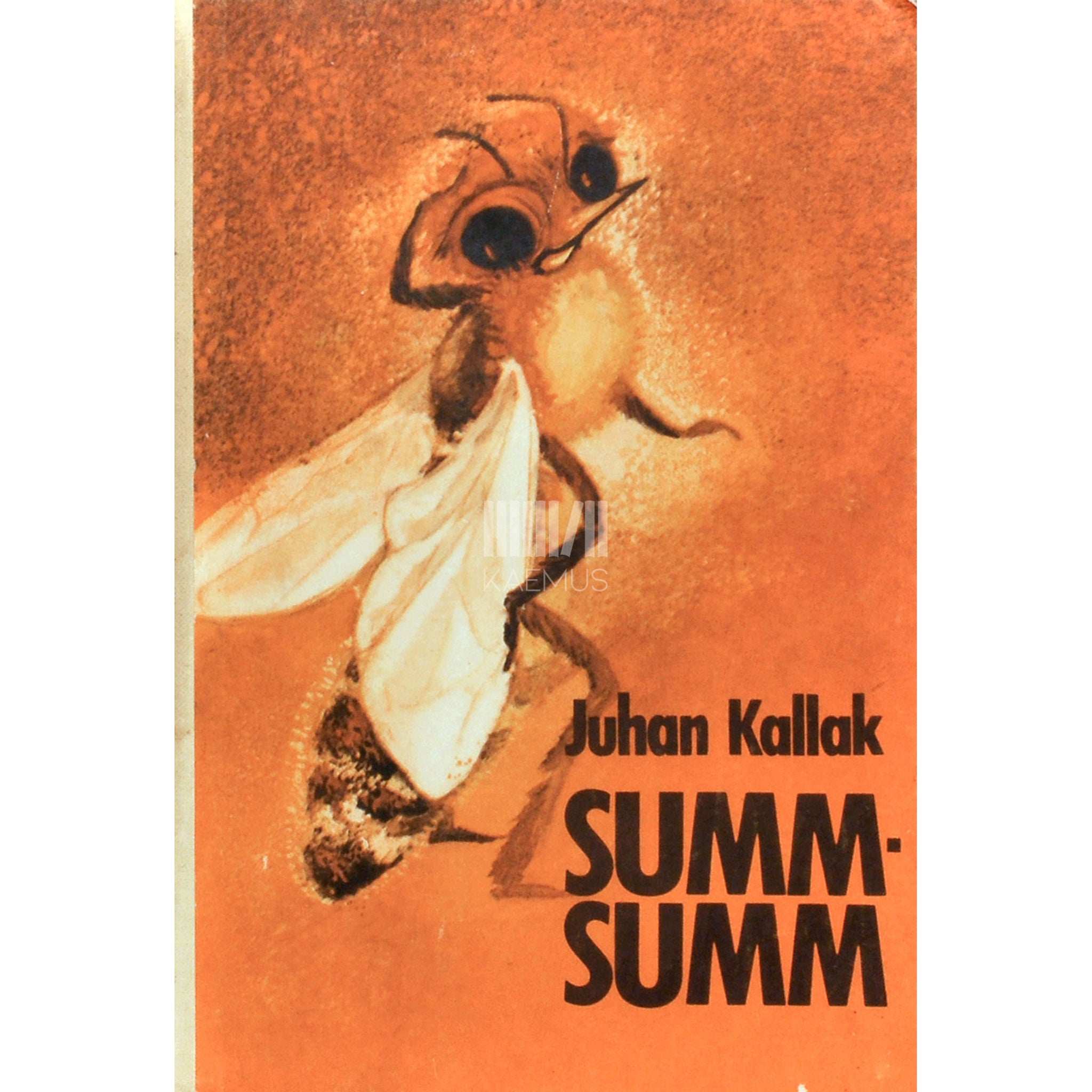 Johannes Kallak Summ-summ