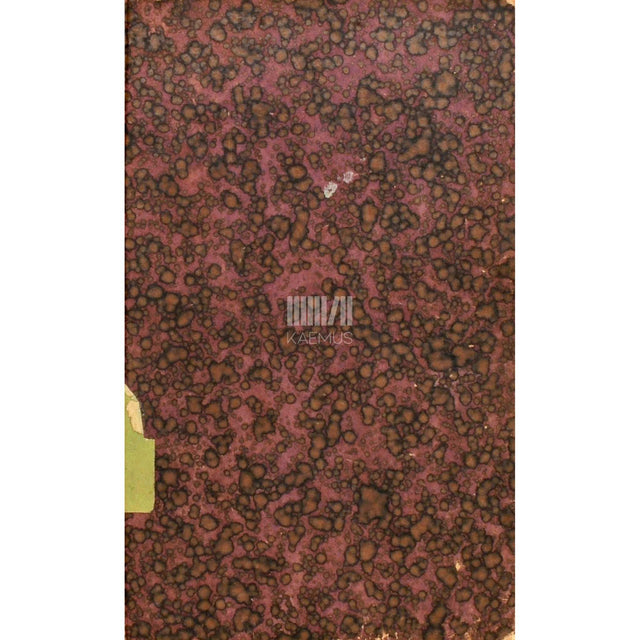 Ernst Theodor Amadeus Hoffmann - Aamissepa-meister Martin ja tema sellid