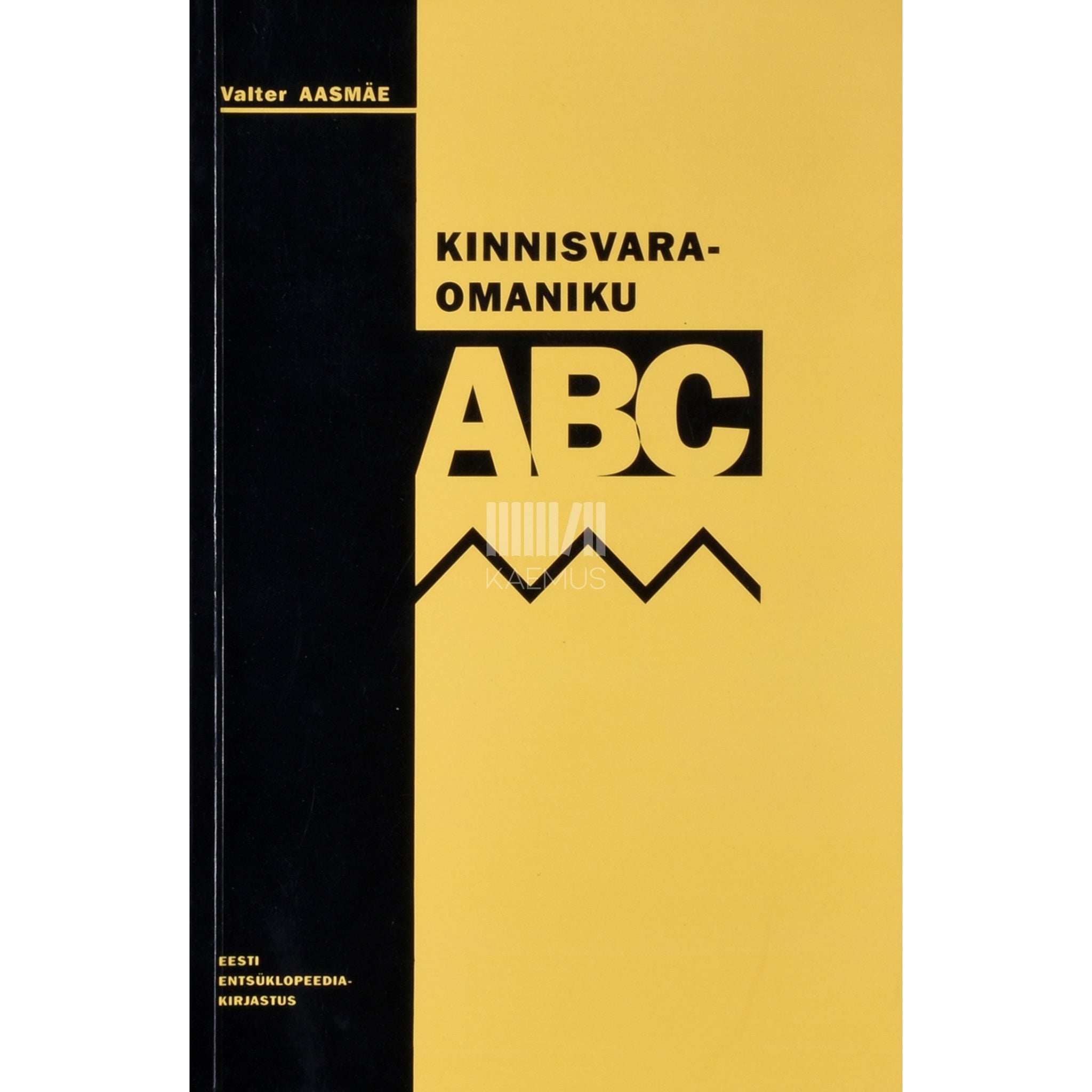 Valter Aasmäe Kinnisvaraomaniku ABC