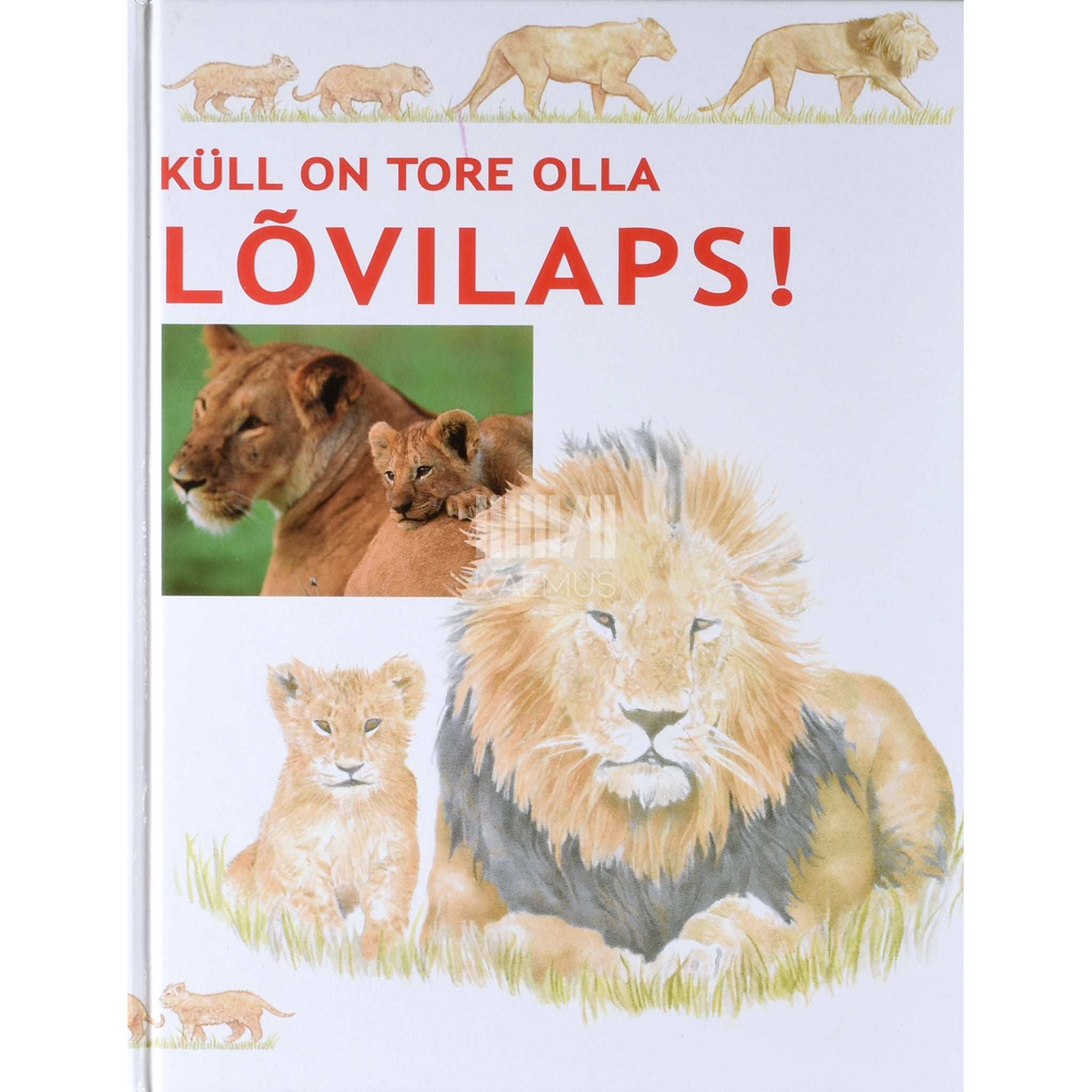 Honor Head Küll on tore olla lõvilaps