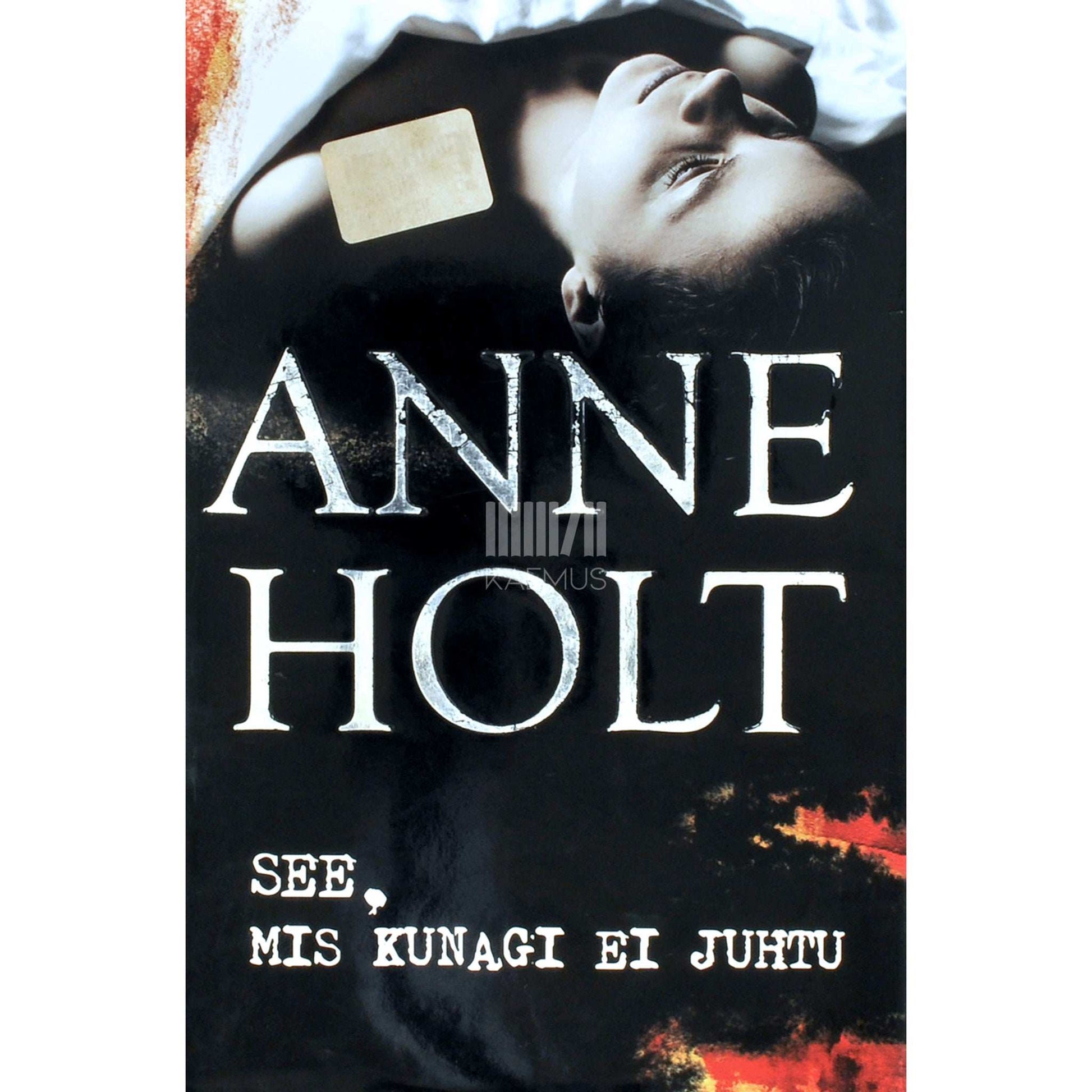 Anne Holt - See, mis kunagi ei juhtu