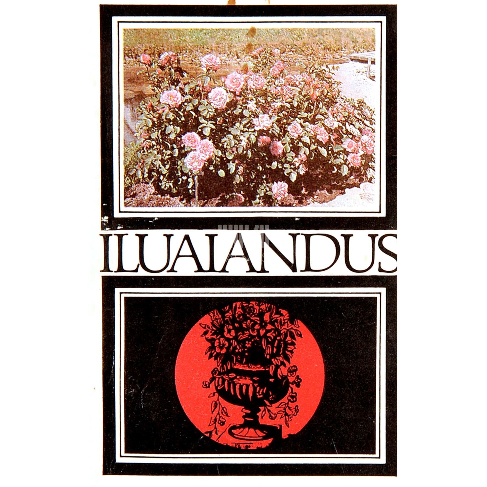 ... - Iluaiandus. Haljastuses perspektiivseid dekoratiivtaimi