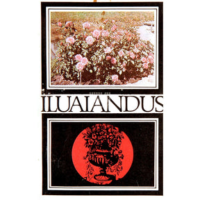 ... Iluaiandus. Haljastuses perspektiivseid dekoratiivtaimi