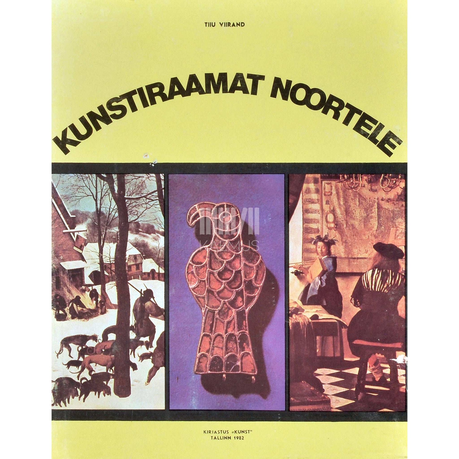 Tiiu Viirand - Kunstiraamat noortele