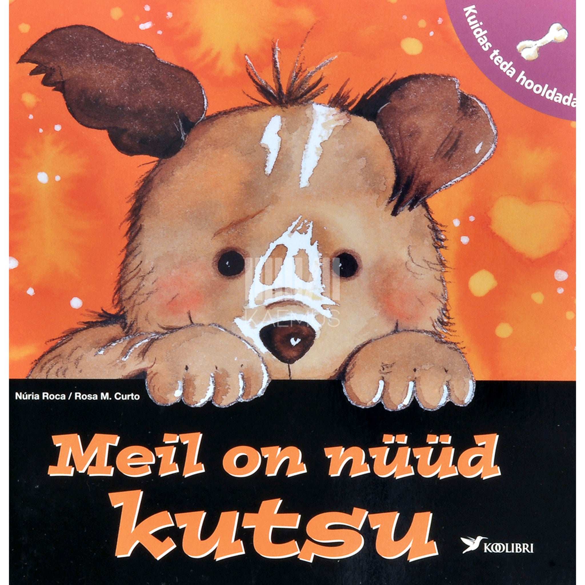 Rosa M. Curto, Núria Roca Meil on nüüd kutsu. Kuidas teda hooldada