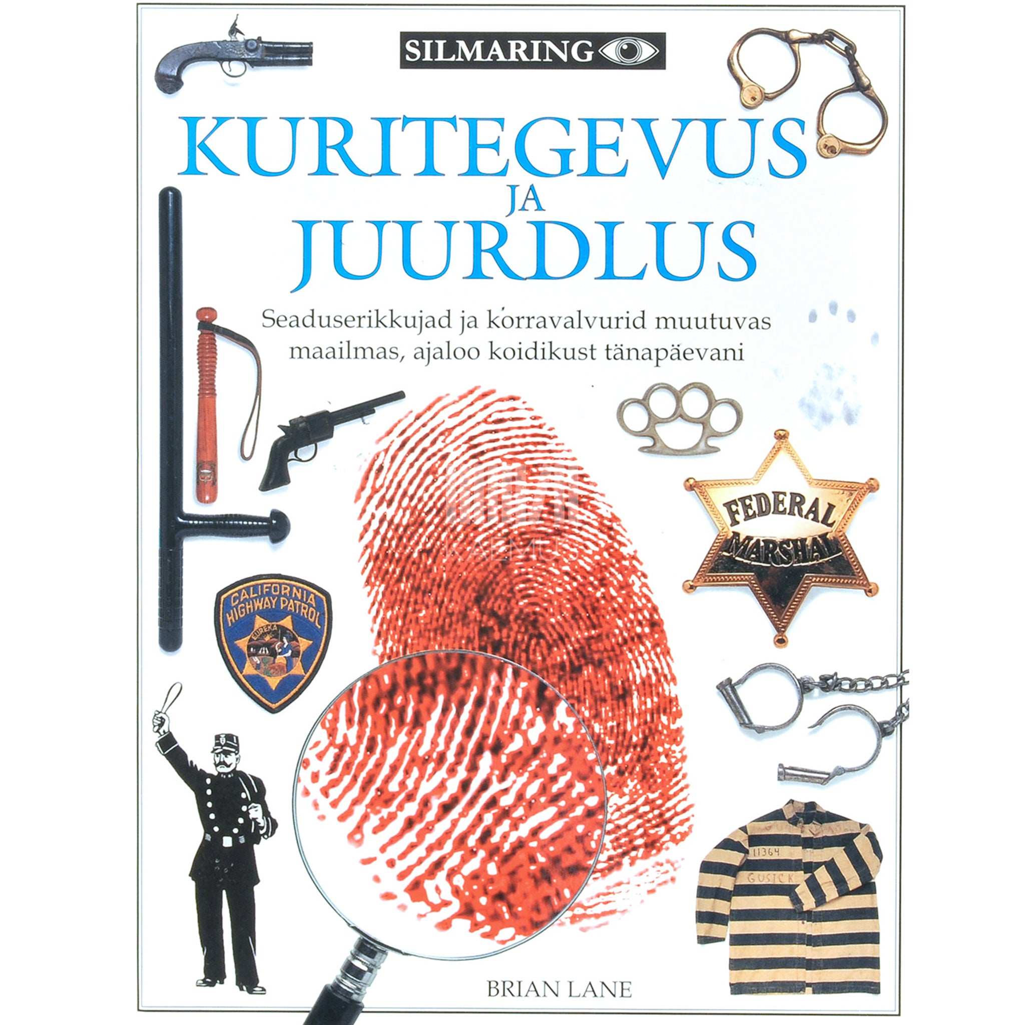 Brian Lane Kuritegevus ja juurdlus