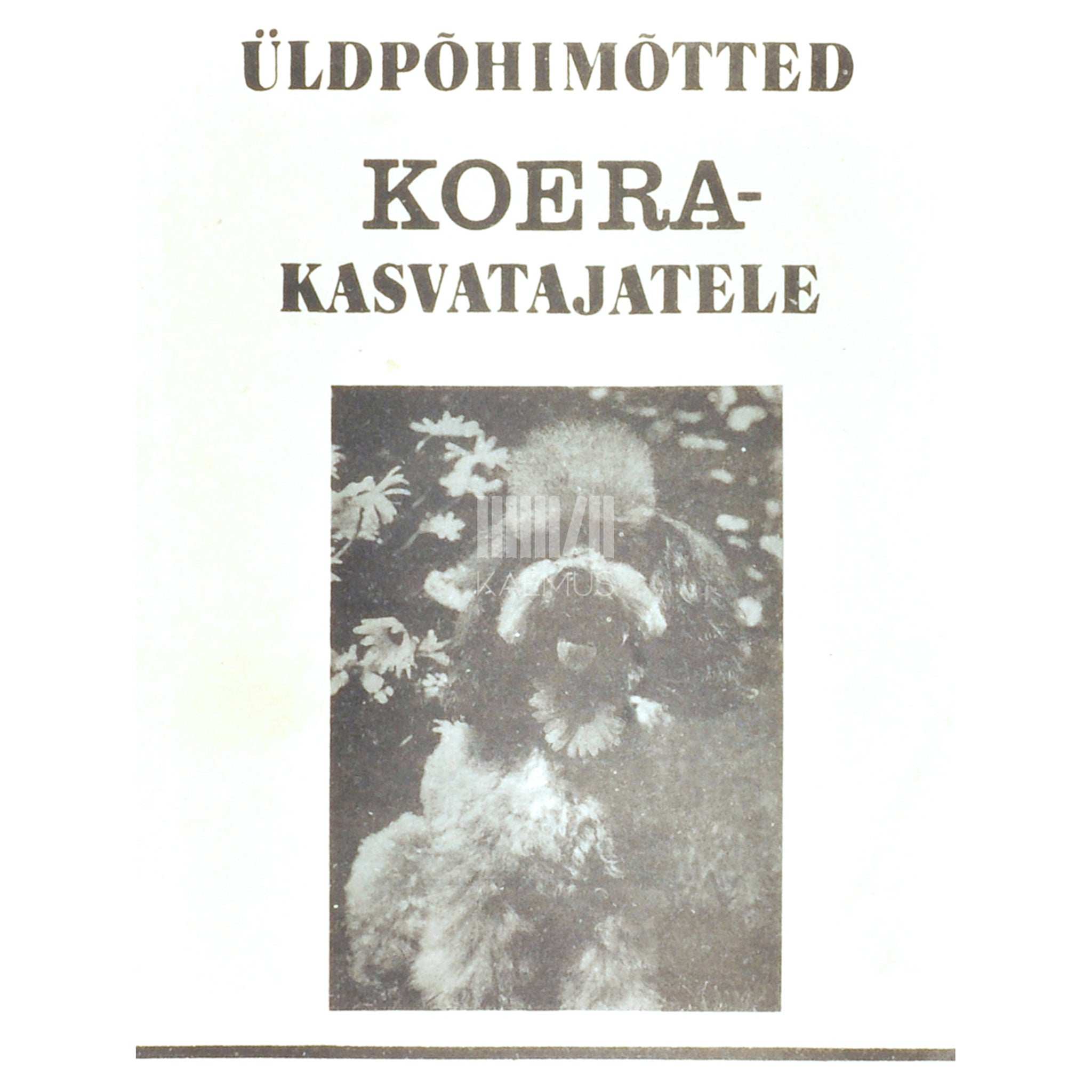 … Üldpõhimõtted koerakasvatajatele