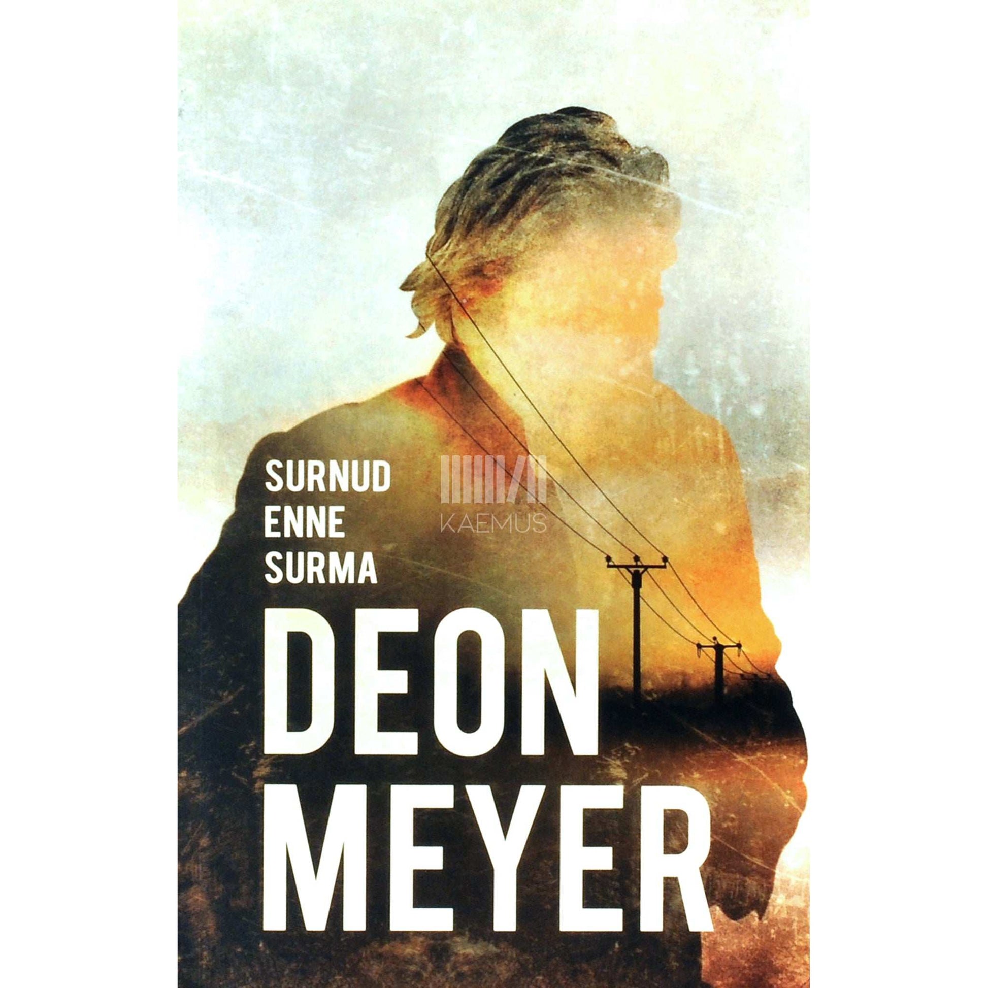 Deon Meyer - Surnud enne surma