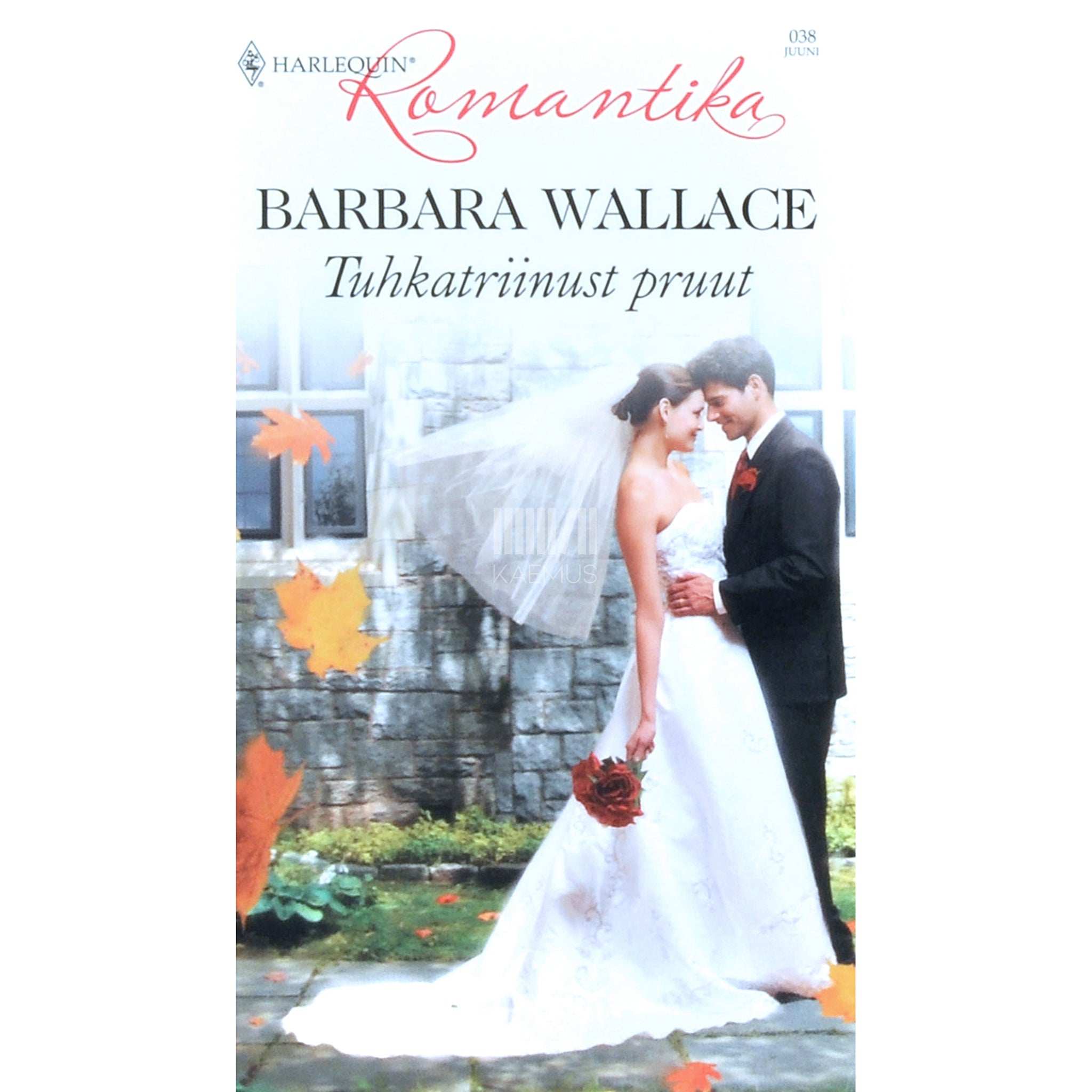 Barbara Wallace Tuhkatriinust pruut