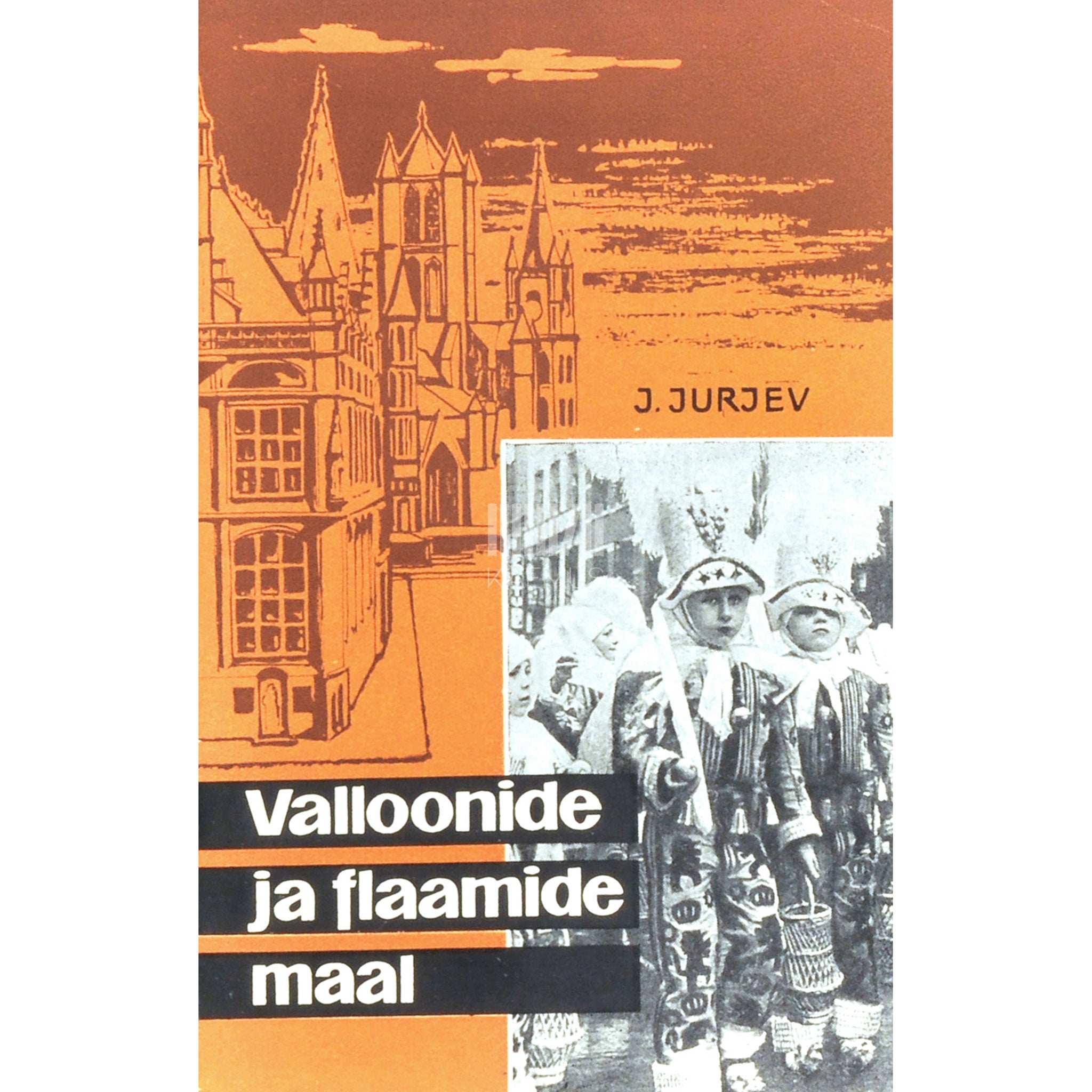 Juri Jurjev Valloonide ja flaamide maal